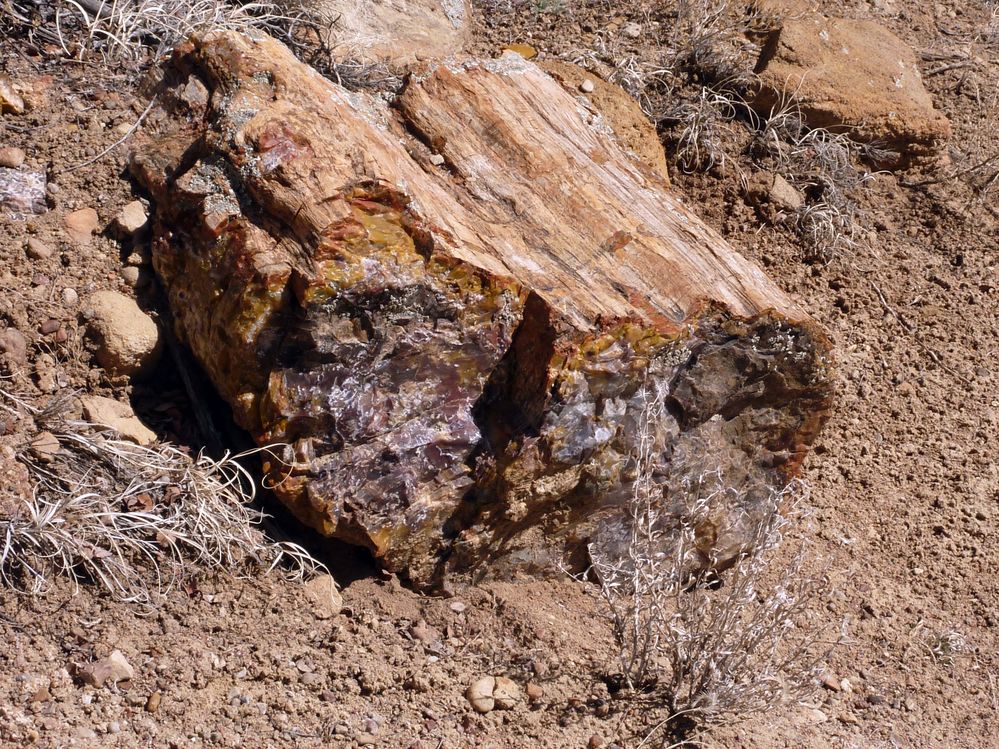 Escalante state park (16).JPG